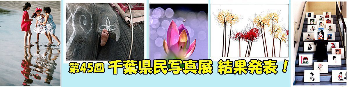 ＜５枚の手動スライド ショー ＞第12回千葉の自然写真コンテストの結果の詳細は、上の画像をクリック又はこの下の「ブログ」からご覧下さい。