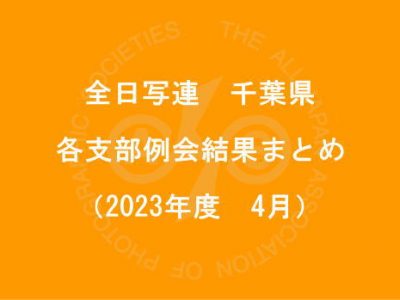 千葉県内の支部例会結果まとめ（2023年4月）