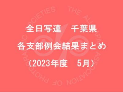 千葉県内の支部例会結果まとめ（2023年5月）