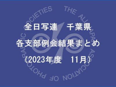 千葉県内の支部例会結果まとめ（2023年11月）
