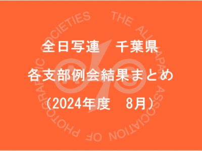 千葉県内の支部例会結果まとめ（2024年8月）