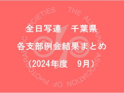 千葉県内の支部例会結果まとめ（2024年9月）