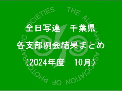 千葉県内の支部例会結果まとめ（2024年10月）