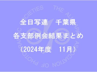 千葉県内の支部例会結果まとめ（2024年11月）