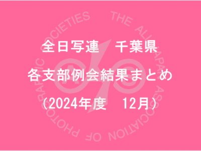 千葉県内の支部例会結果まとめ（2024年12月）