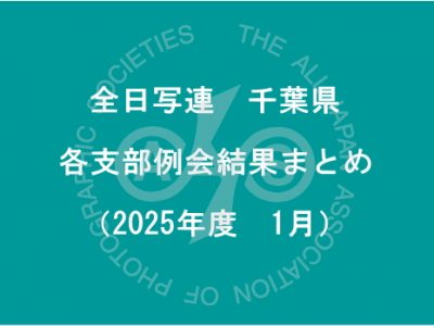 千葉県内の支部例会結果まとめ（2025年1月）