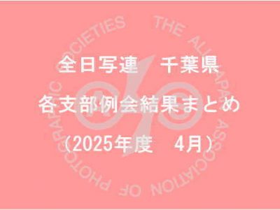 千葉県内の支部例会結果まとめ（2025年4月）