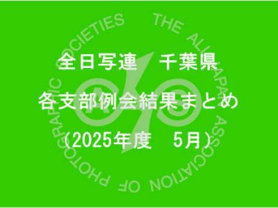千葉県内の支部例会結果まとめ（2025年5月）