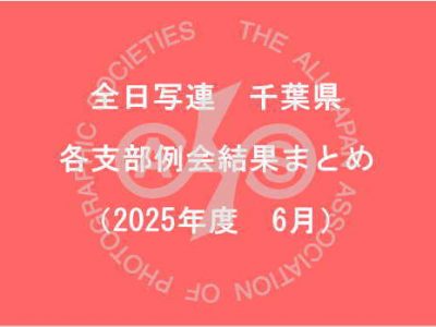 千葉県内の支部例会結果まとめ（2025年6月）
