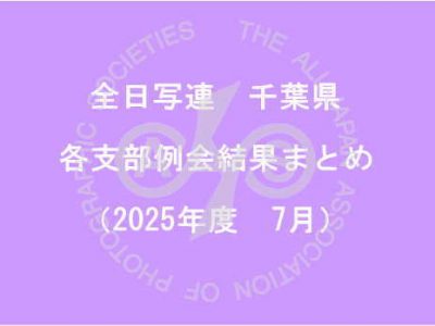 千葉県内の支部例会結果まとめ（2025年7月）