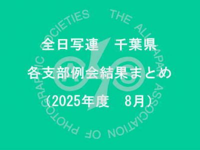 千葉県内の支部例会結果まとめ（2025年8月）