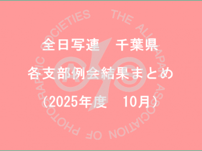 千葉県内の支部例会結果まとめ（2025年10月）