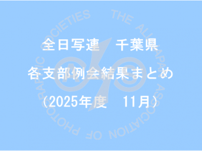 千葉県内の支部例会結果まとめ（2025年11月）