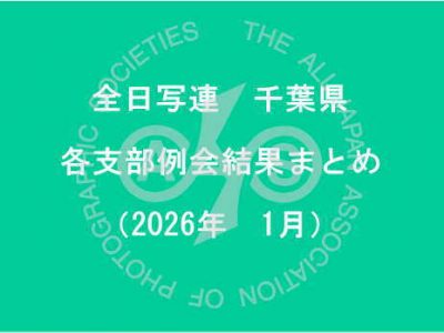 千葉県内の支部例会結果まとめ（2026年1月）